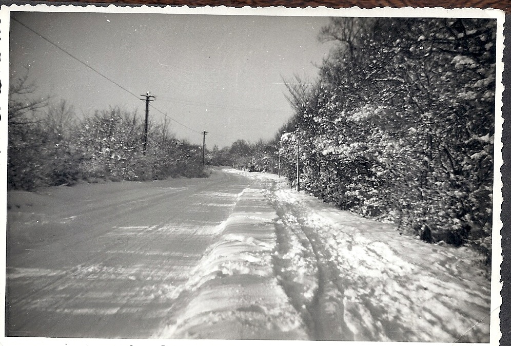 Winter Snow in Bricket Wood nr St Albans.