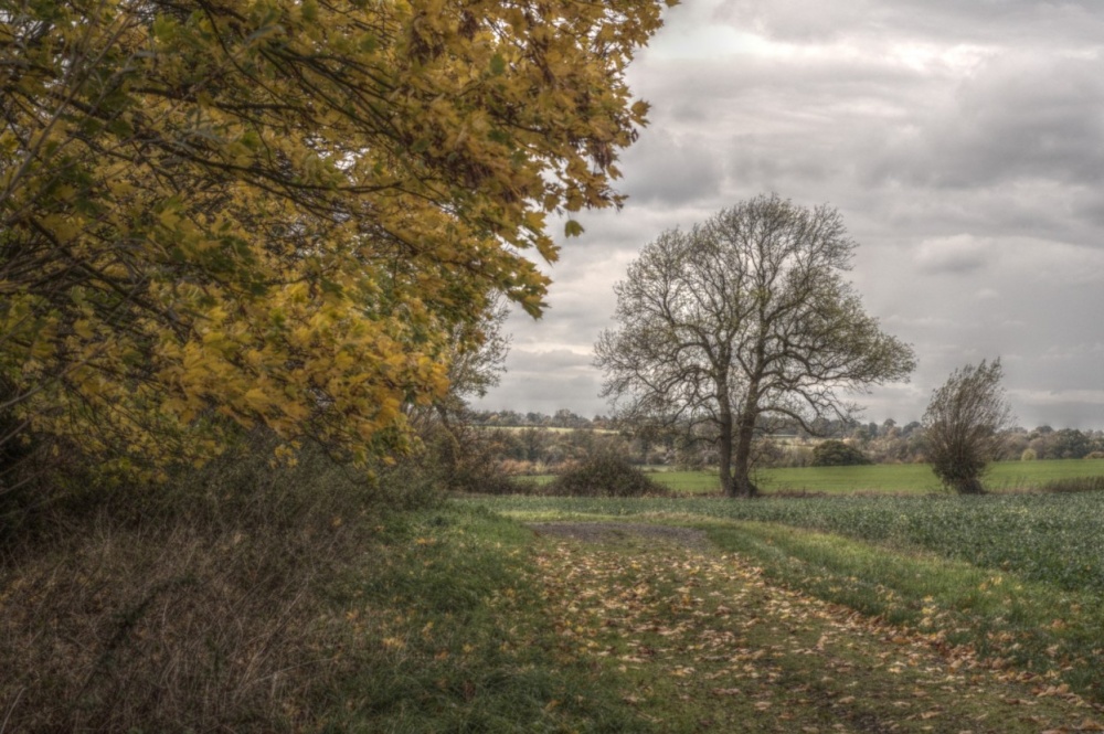 Photograph of Farmland at Godington, Oxfordshire