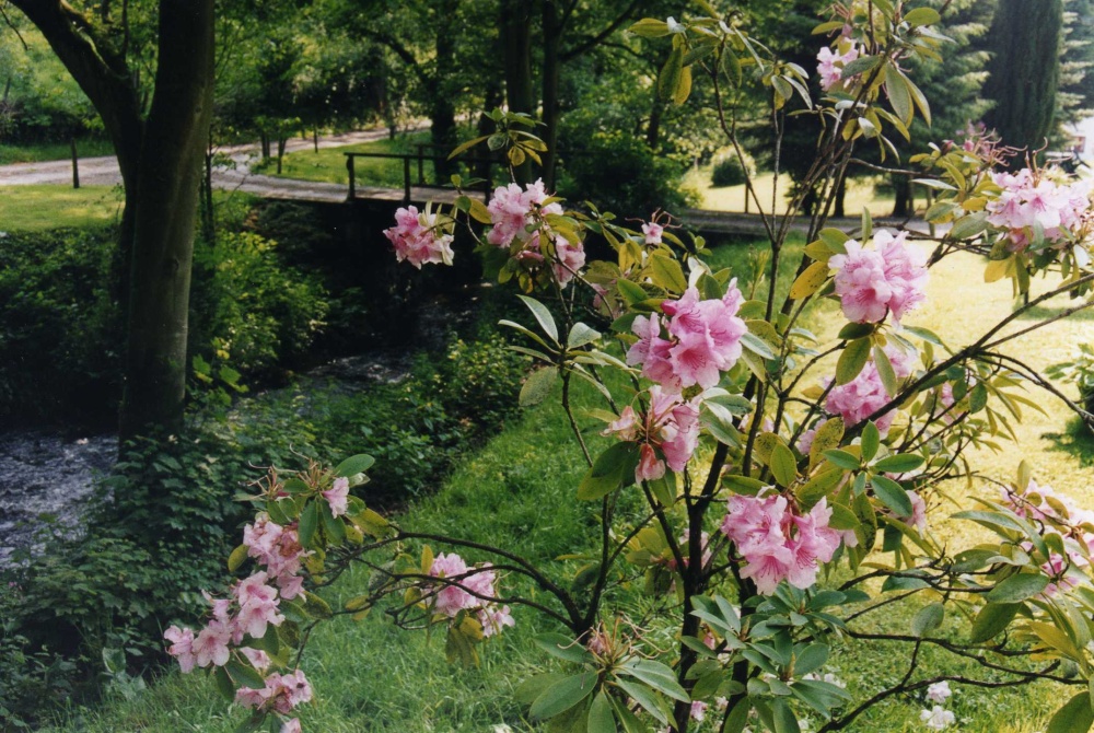 Photograph of Newland Bottom