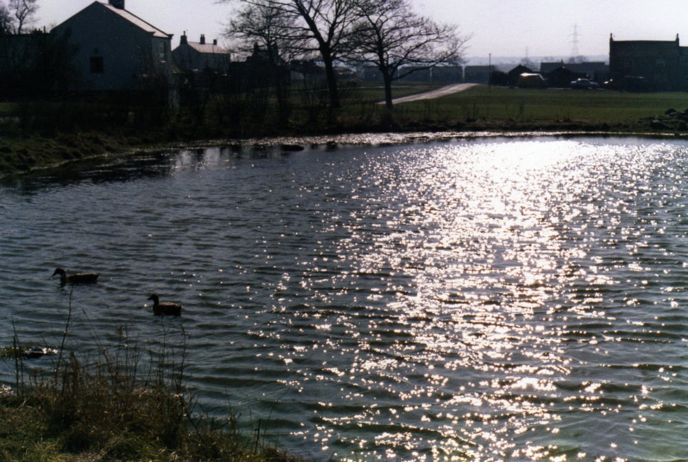 Photograph of The Village Pond