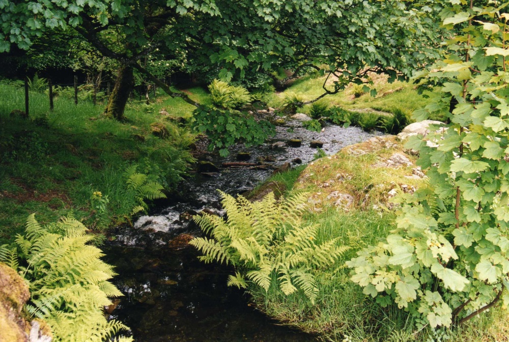 Photograph of The Brook