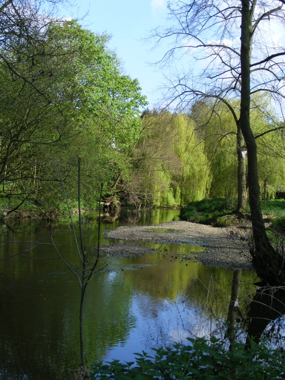 River Scene