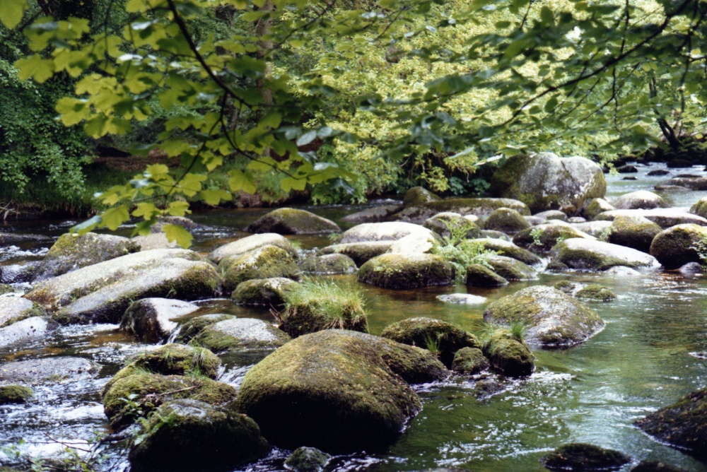 Photograph of Slippy crossing