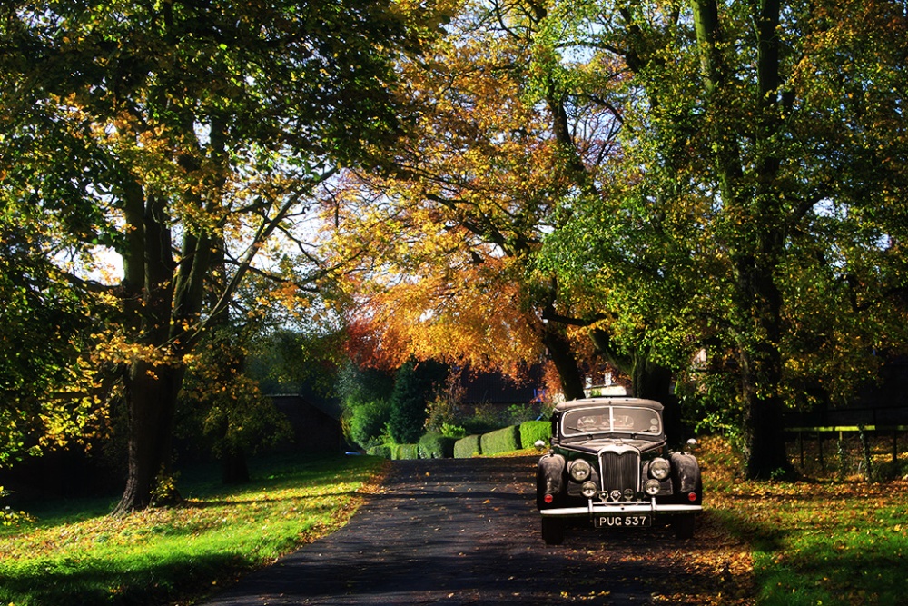 Londesborough Autumn.