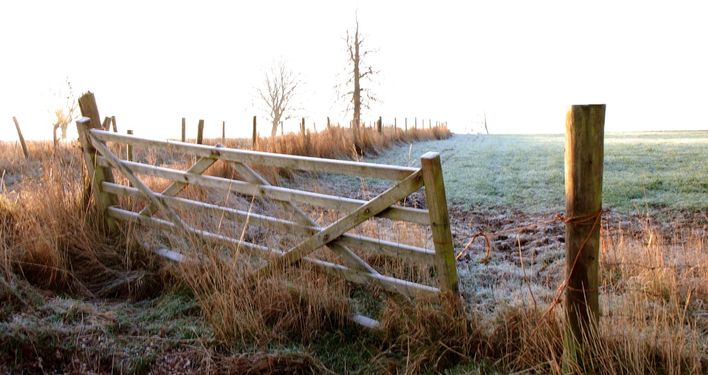 Hanging gate, Hollington, Derbyshire