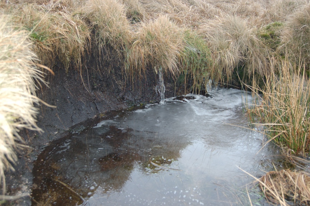 Ice on Dartmoor