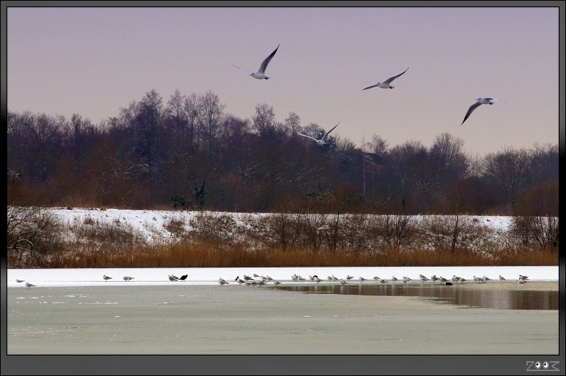 Sixfields - Flood Storage Reservoir