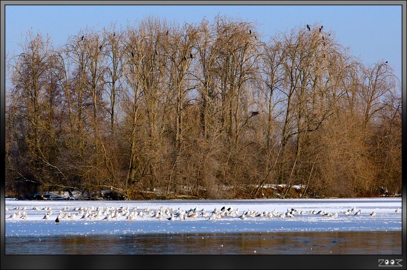 Northampton - Nene Valley Reservoir