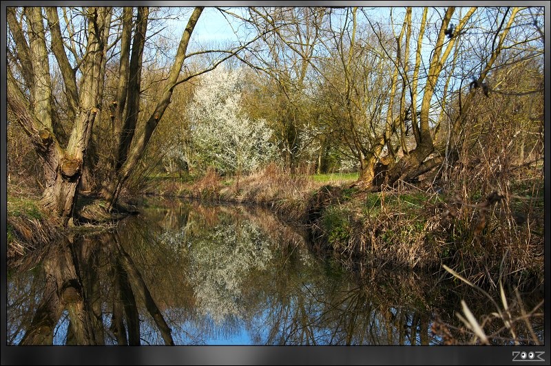 Ladybridge Park