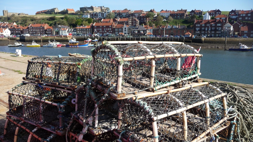 Whitby Marina & Harbour