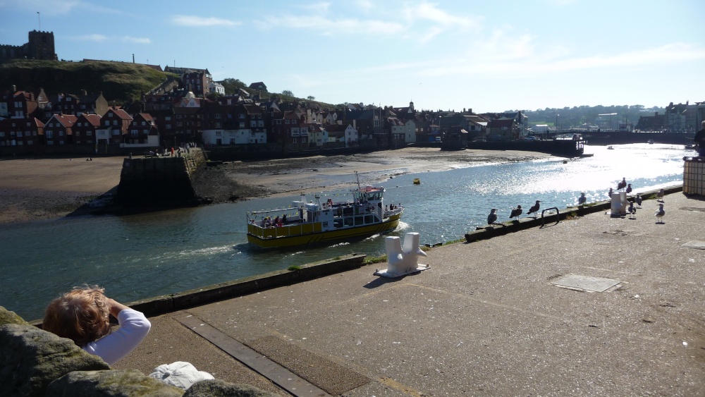 Whitby Marina & Harbour