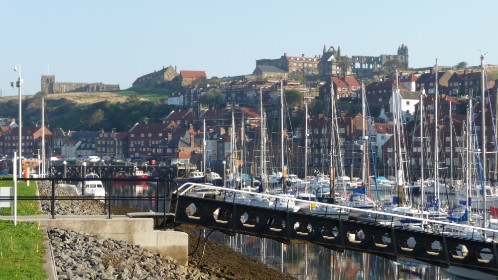 Whitby Marina