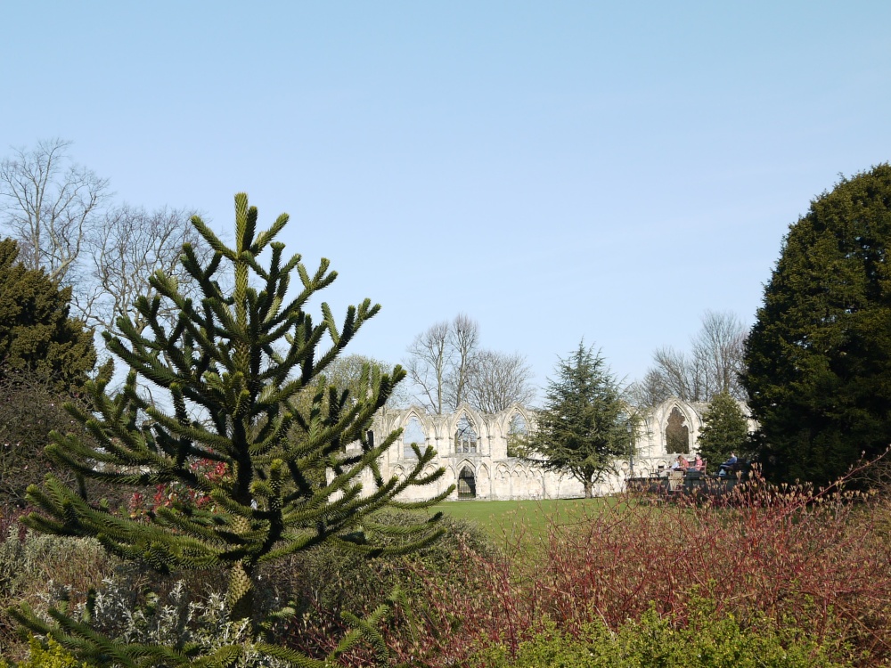 St Mary's Abbey, York