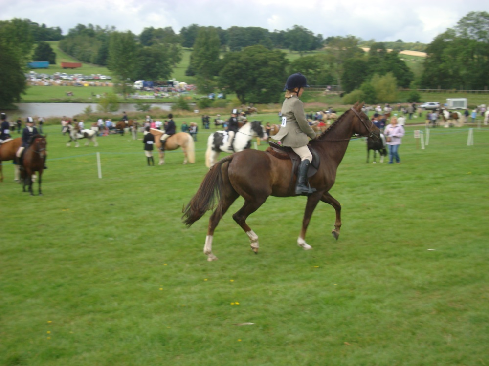 Ripley Show, Aug 2011