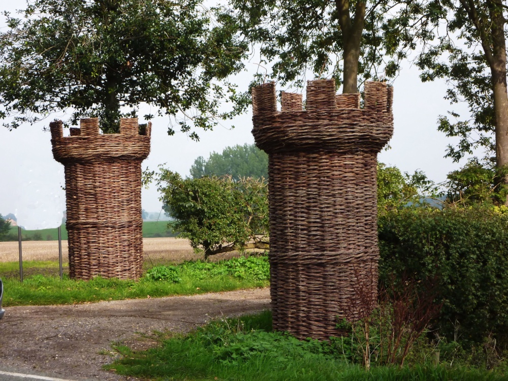 Willow entrance to willow beds on the marshes