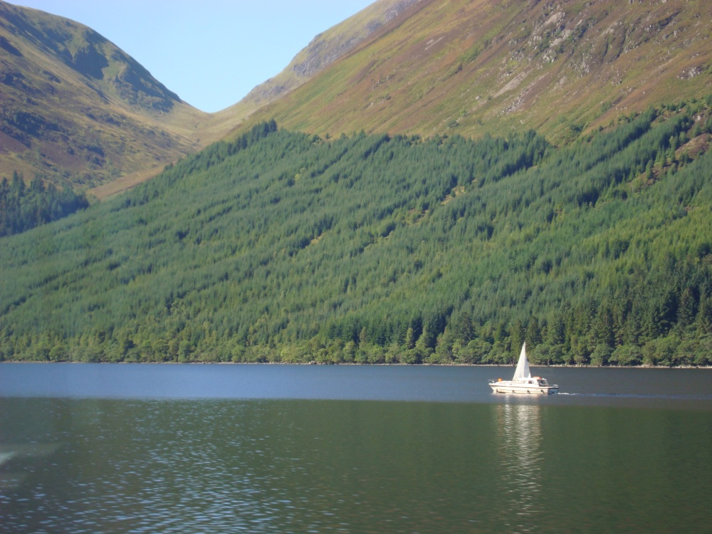 West Highland scene