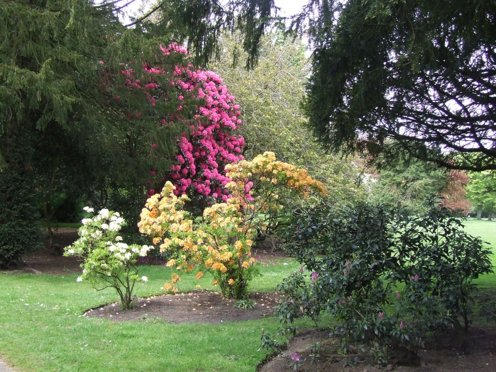 Croxtheth Hall Gardens