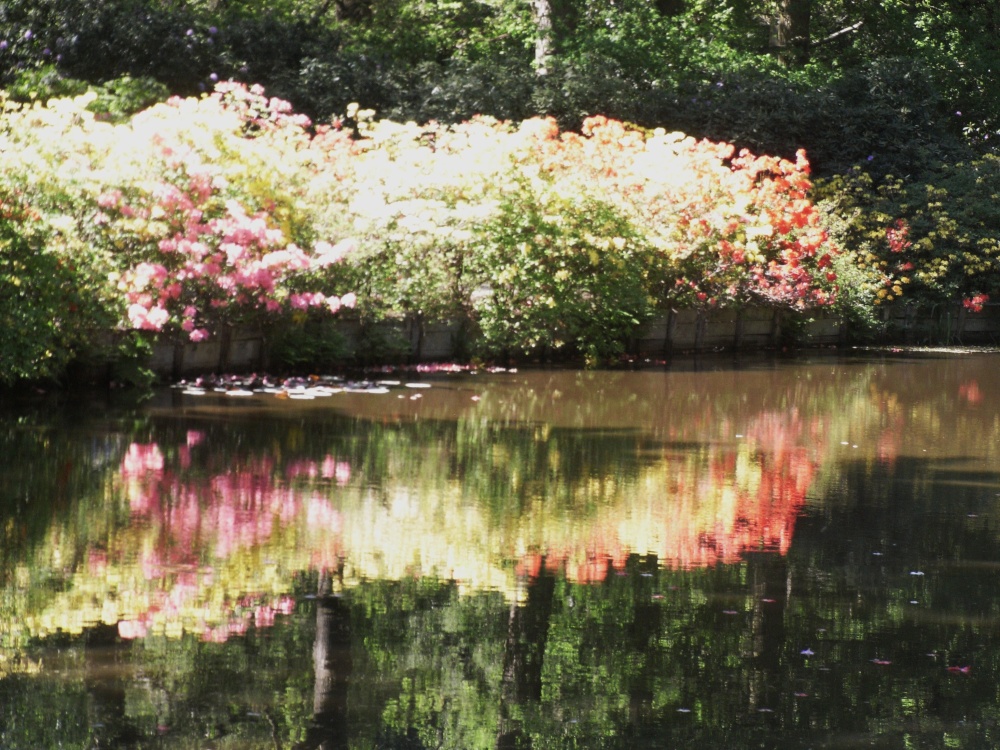 Stody Lodge Gardens