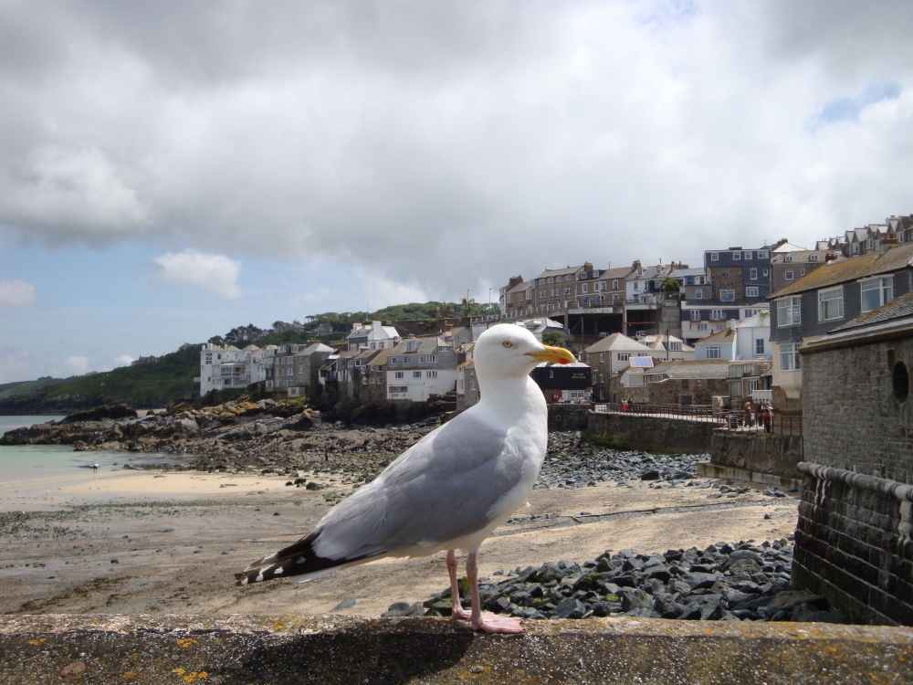 St Ives