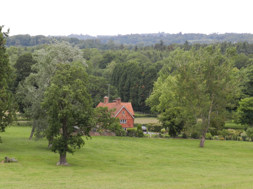 Borde Hill Garden 24 June 2011