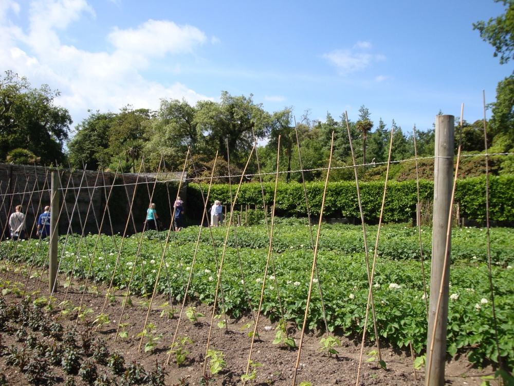 Lost Gardens of Heligan