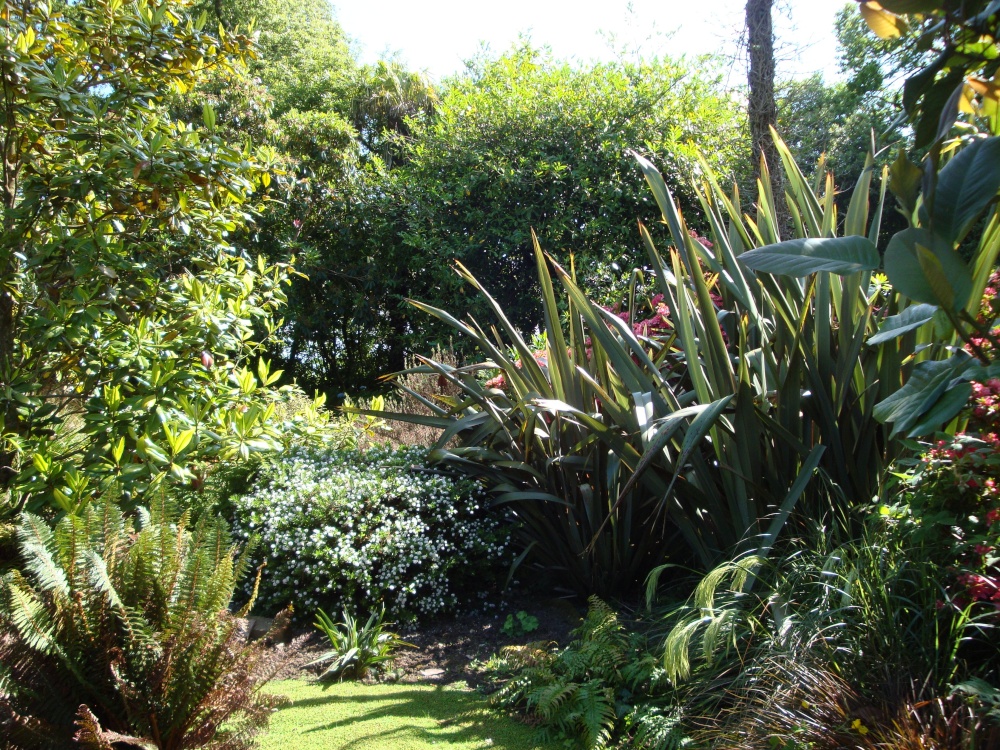 Lost Gardens of Heligan