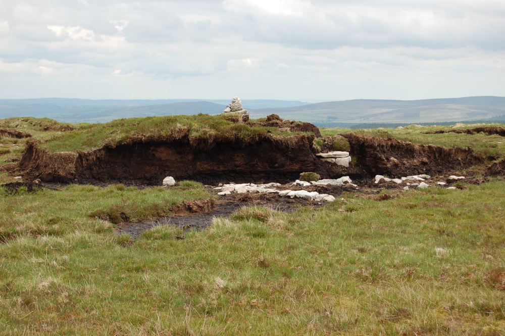 Dartmoor