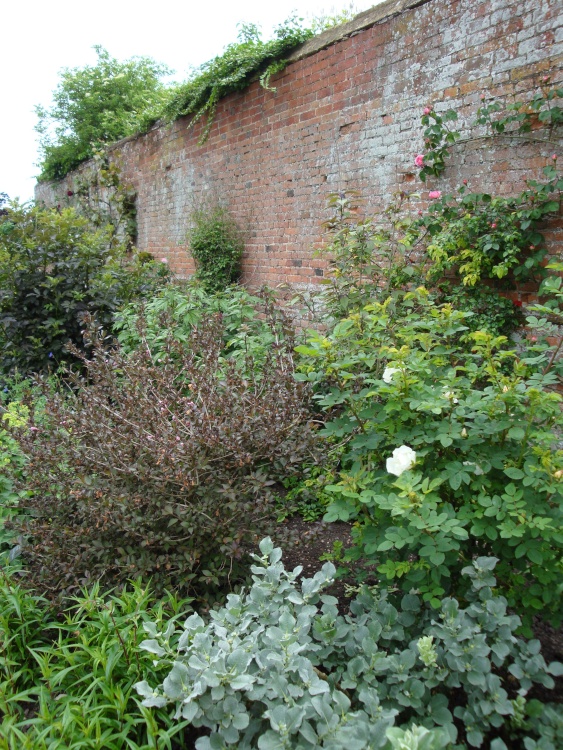 Coughton Court June 2008