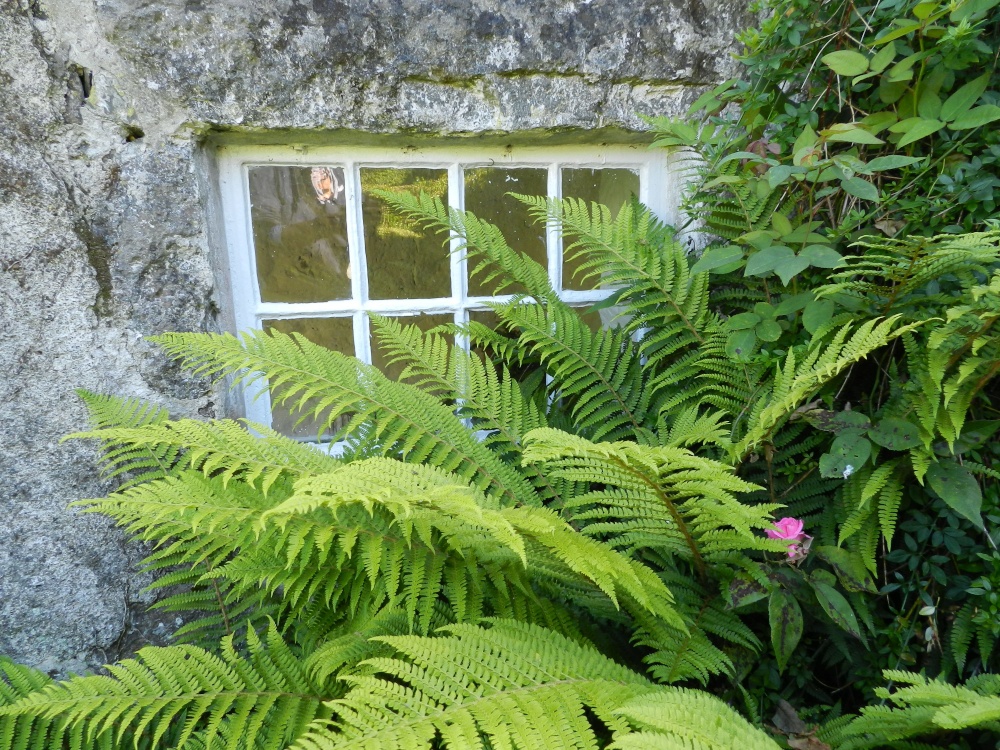 Plas-yn-Rhiw 19 June 2011