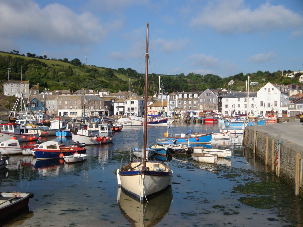 Mevagissey June 2009