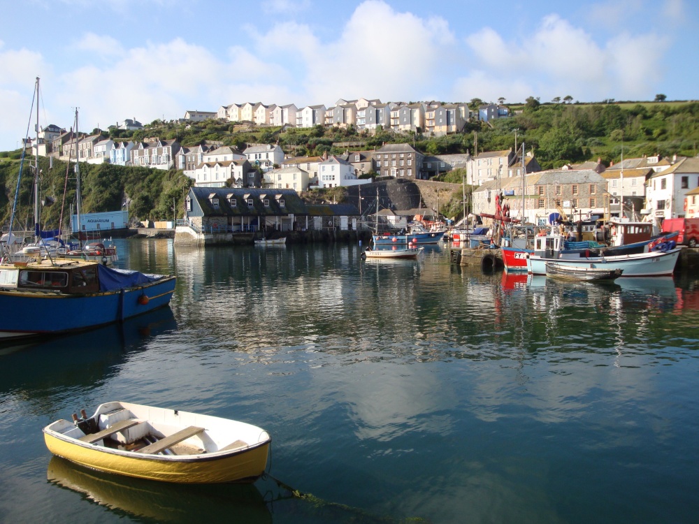 Mevagissey June 2009