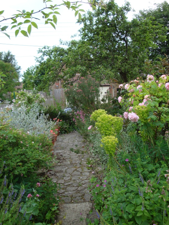 East Lambrook Manor, June 2009