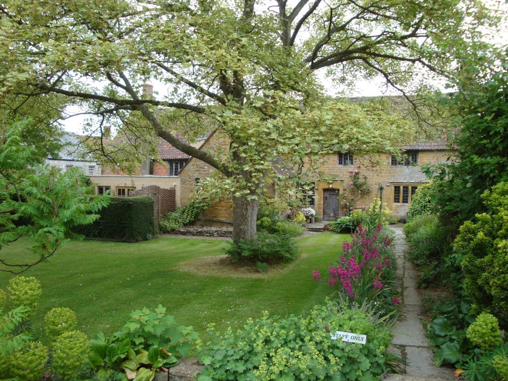 East Lambrook Manor, June 2009