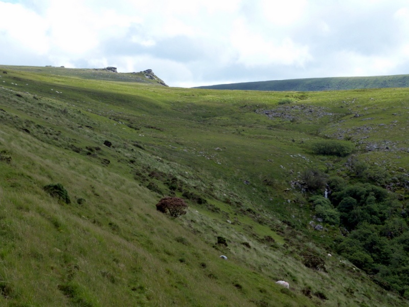 Dartmoor