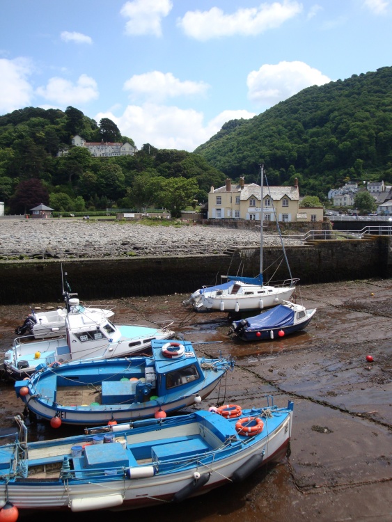 Lynton and Lynmouth, June 2009