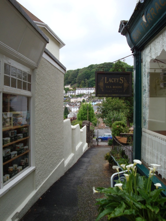 Lynton and Lynmouth, June 2009