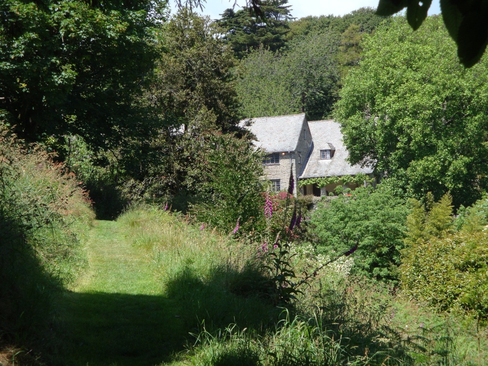 Coleton Fishacre, June 2009