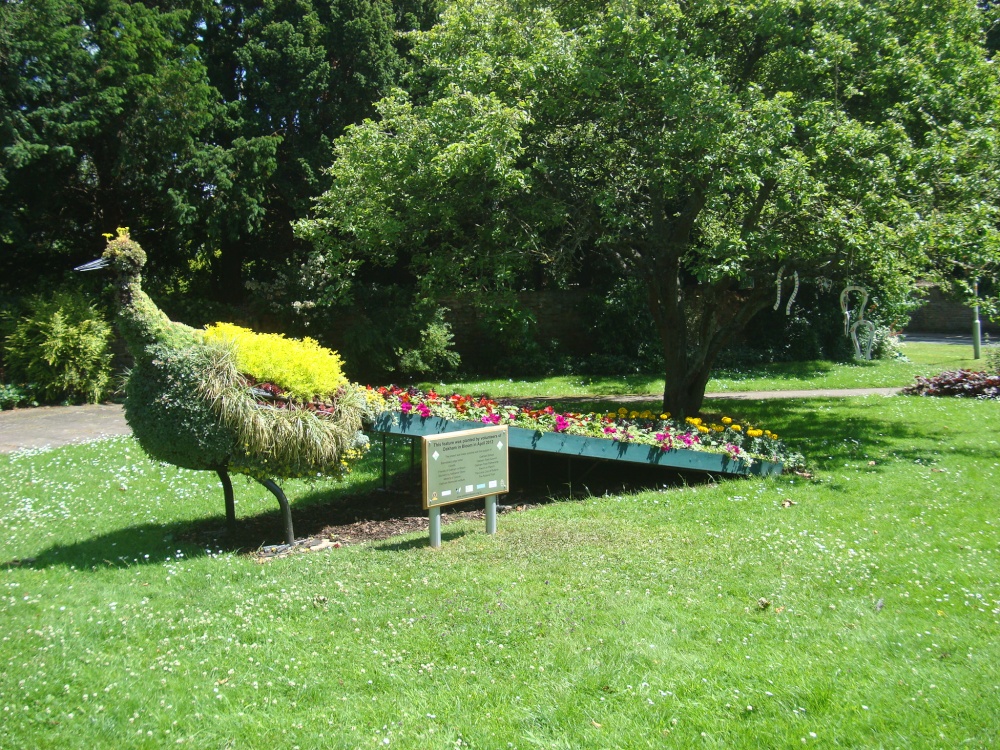 Peacock in Catmos Street