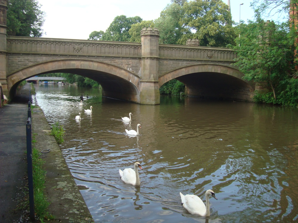 River Soar