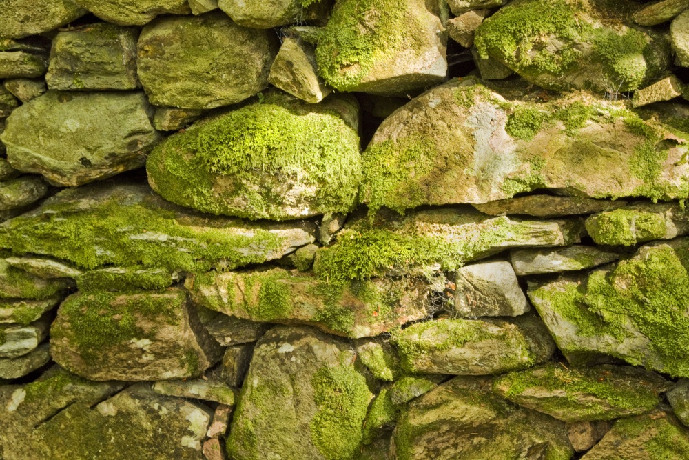 Dry Stone Wall