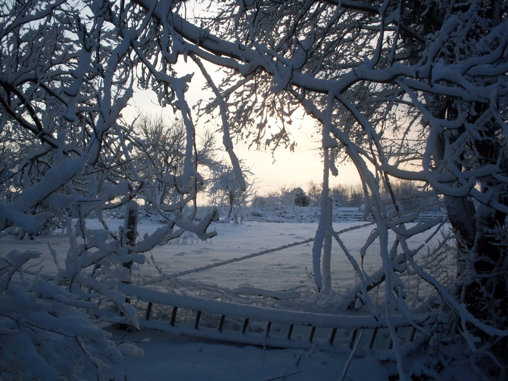 Snow fall in East Peckham