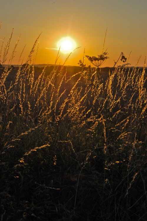 East Peckham sunset