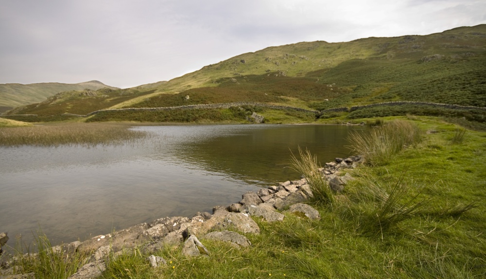 Alcock Tarn 2