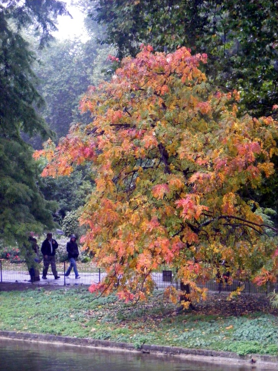 St James Park, London