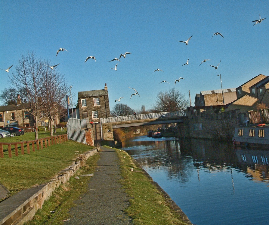 Looking along the Canal in Mirfield
