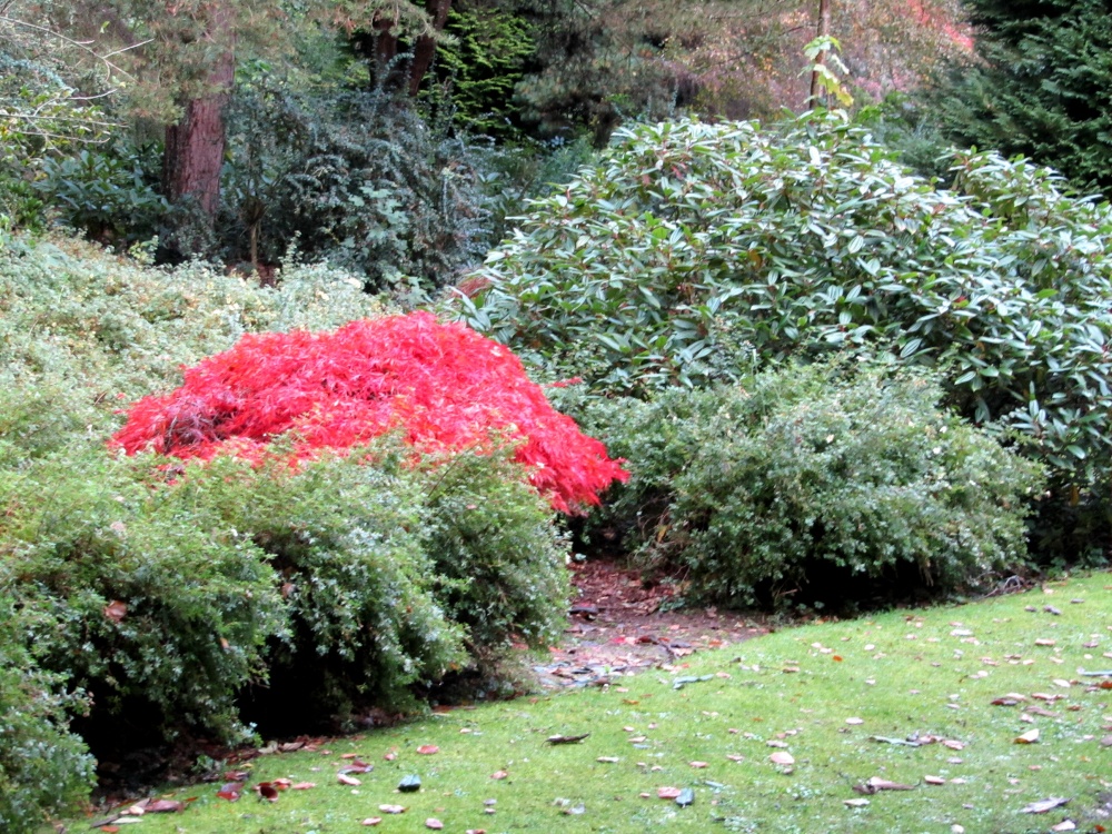 Walled Garden