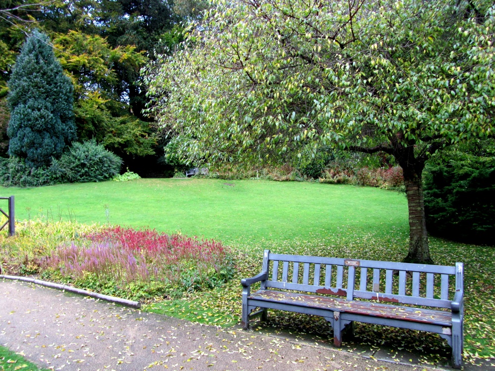 Garden Seat