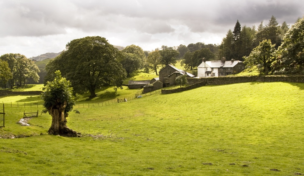 Farm close to Loughrigg Tarn and Grasmere