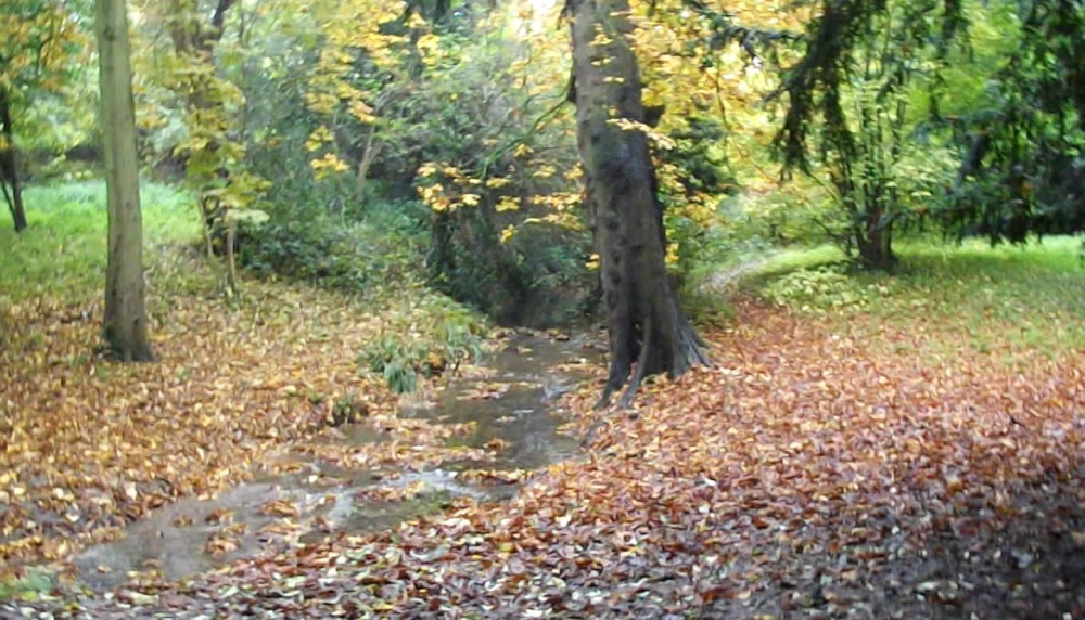 Rushden Hall Park