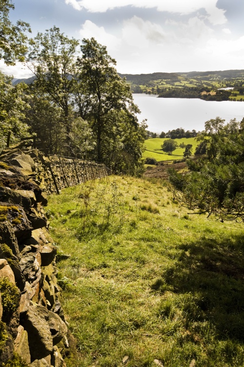 Skelghyll Woods 6